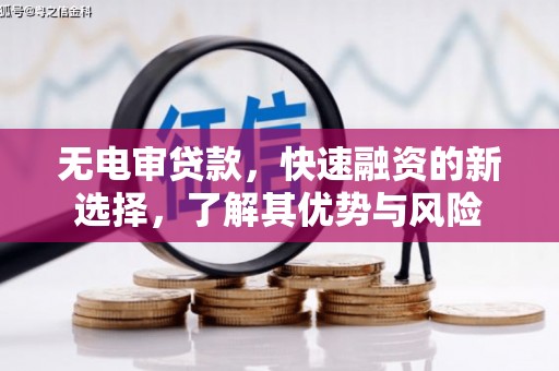 牧野无电审贷款，快速融资的新选择，了解其优势与风险