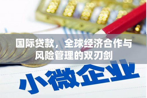 牧野国际贷款，全球经济合作与风险管理的双刃剑