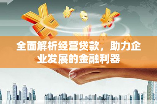 牧野全面解析经营贷款，助力企业发展的金融利器