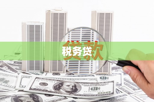 牧野税务贷