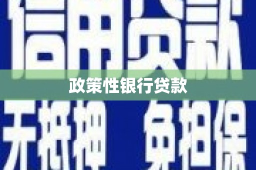 牧野政策性银行贷款