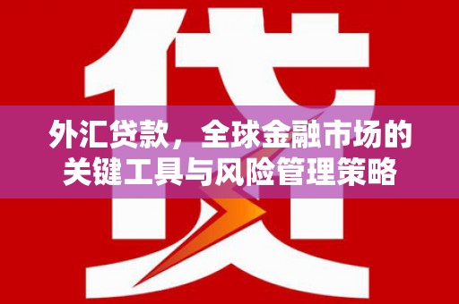 牧野外汇贷款，全球金融市场的关键工具与风险管理策略
