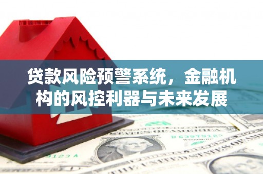 牧野贷款风险预警系统，金融机构的风控利器与未来发展