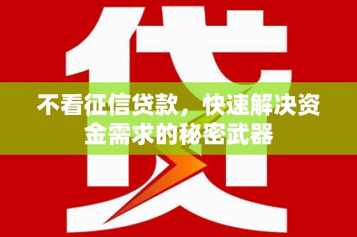 牧野不看征信贷款，快速解决资金需求的秘密武器