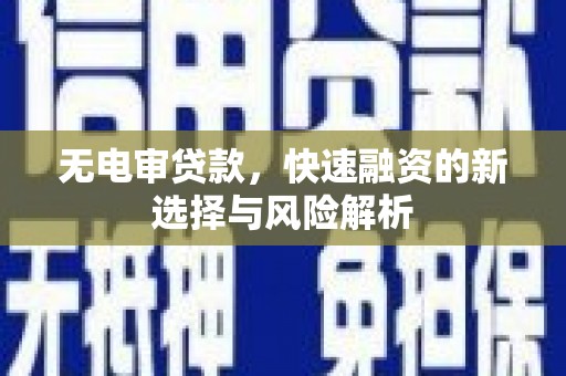 牧野无电审贷款，快速融资的新选择与风险解析