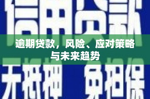 牧野逾期贷款，风险、应对策略与未来趋势