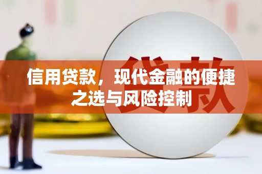 牧野信用贷款，现代金融的便捷之选与风险控制