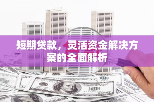 牧野短期贷款，灵活资金解决方案的全面解析