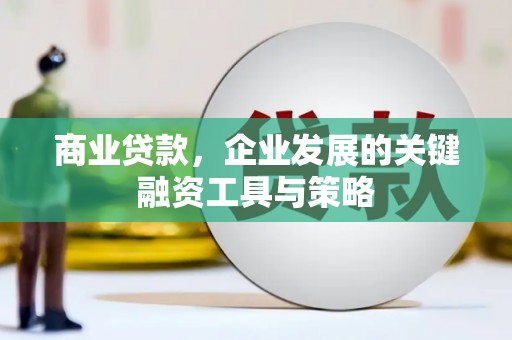 牧野商业贷款，企业发展的关键融资工具与策略