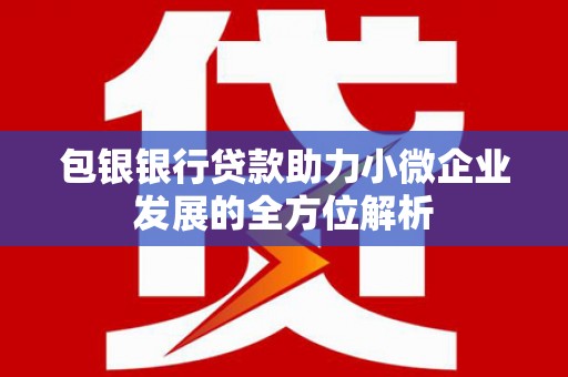 牧野包银银行贷款助力小微企业发展的全方位解析
