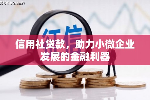 牧野信用社贷款，助力小微企业发展的金融利器