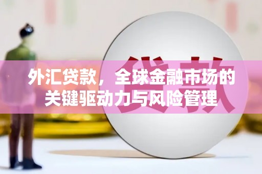 牧野外汇贷款，全球金融市场的关键驱动力与风险管理