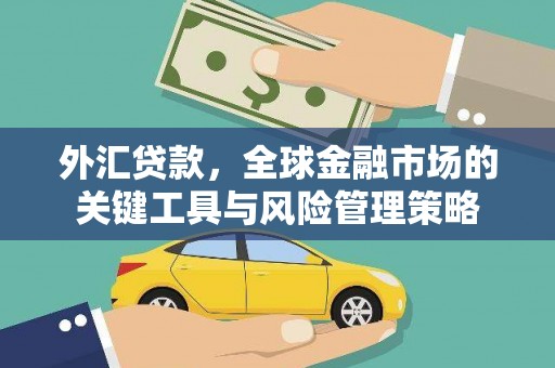 牧野外汇贷款，全球金融市场的关键工具与风险管理策略