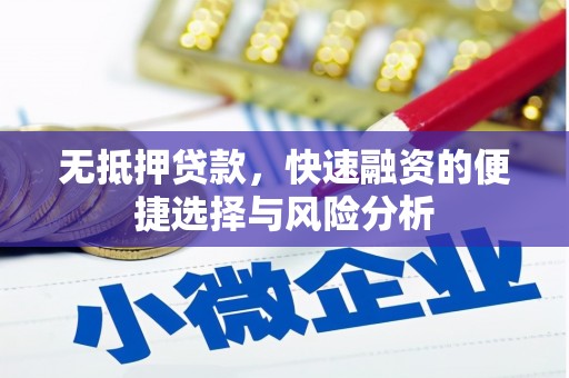 牧野无抵押贷款，快速融资的便捷选择与风险分析