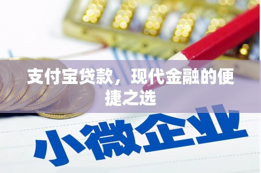 牧野支付宝贷款，现代金融的便捷之选