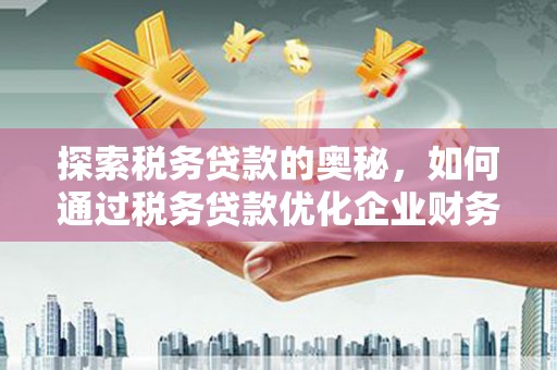 牧野探索税务贷款的奥秘，如何通过税务贷款优化企业财务
