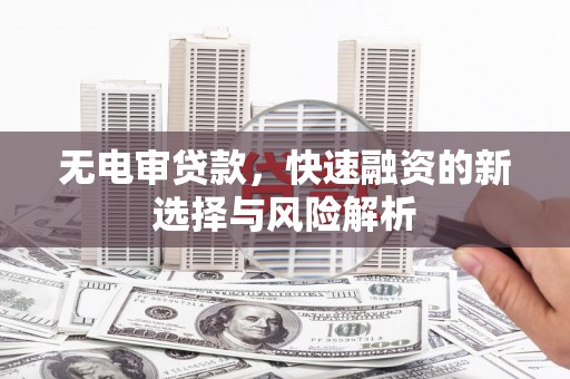 牧野无电审贷款，快速融资的新选择与风险解析
