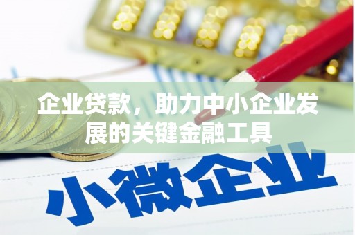 牧野企业贷款，助力中小企业发展的关键金融工具