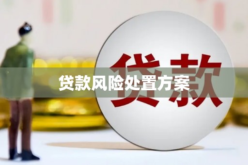 牧野贷款风险处置方案