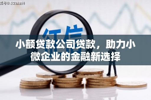 牧野小额贷款公司贷款，助力小微企业的金融新选择