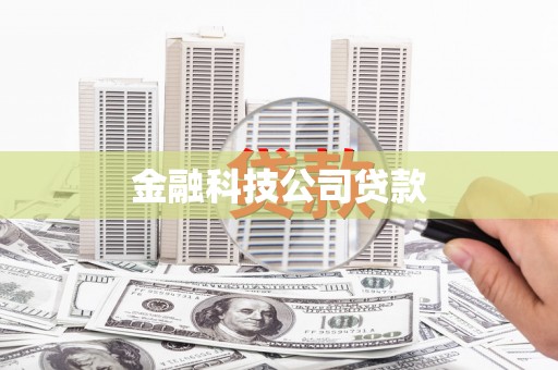 牧野金融科技公司贷款