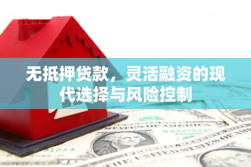 牧野无抵押贷款，灵活融资的现代选择与风险控制
