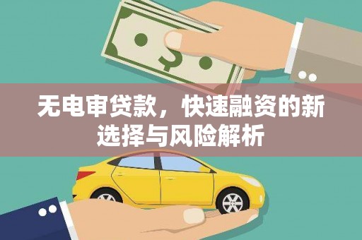 牧野无电审贷款，快速融资的新选择与风险解析