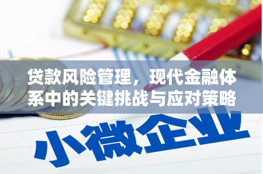 牧野贷款风险管理，现代金融体系中的关键挑战与应对策略