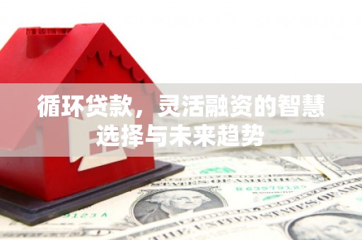 牧野循环贷款，灵活融资的智慧选择与未来趋势