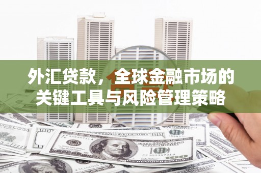 牧野外汇贷款，全球金融市场的关键工具与风险管理策略