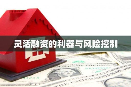 牧野灵活融资的利器与风险控制