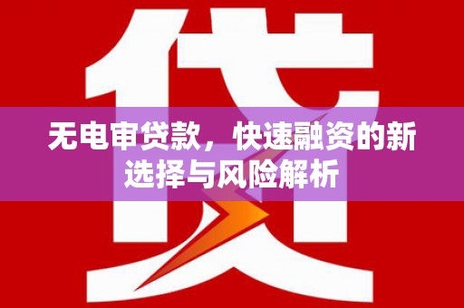 牧野无电审贷款，快速融资的新选择与风险解析