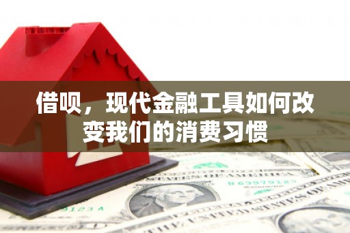 牧野借呗，现代金融工具如何改变我们的消费习惯
