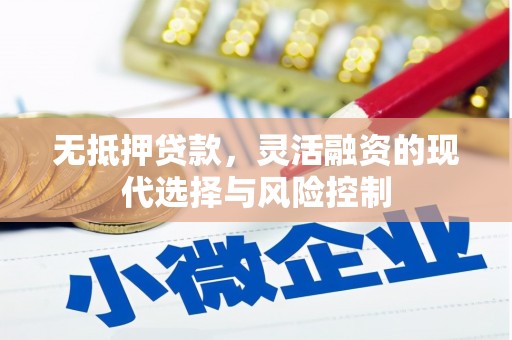 牧野无抵押贷款，灵活融资的现代选择与风险控制