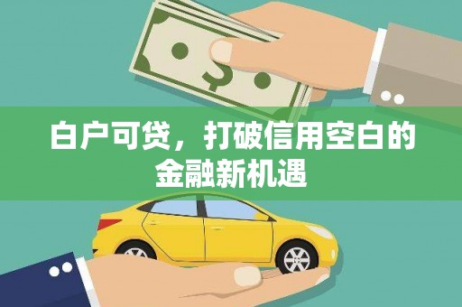 牧野白户可贷，打破信用空白的金融新机遇