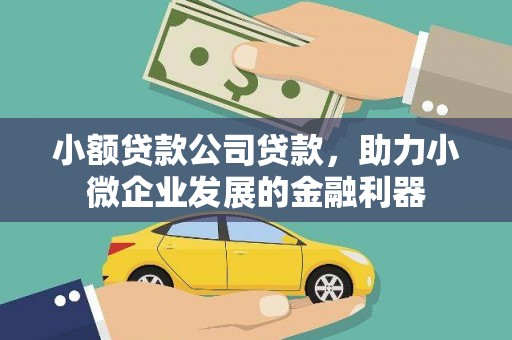 牧野小额贷款公司贷款，助力小微企业发展的金融利器