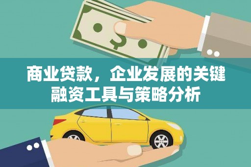 牧野商业贷款，企业发展的关键融资工具与策略分析