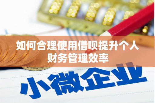 牧野如何合理使用借呗提升个人财务管理效率