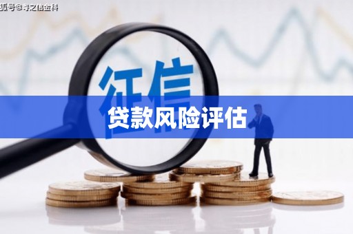 牧野贷款风险评估