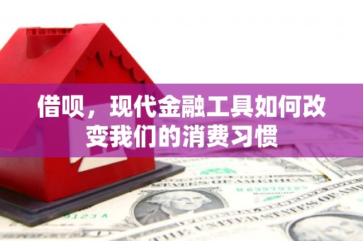 牧野借呗，现代金融工具如何改变我们的消费习惯