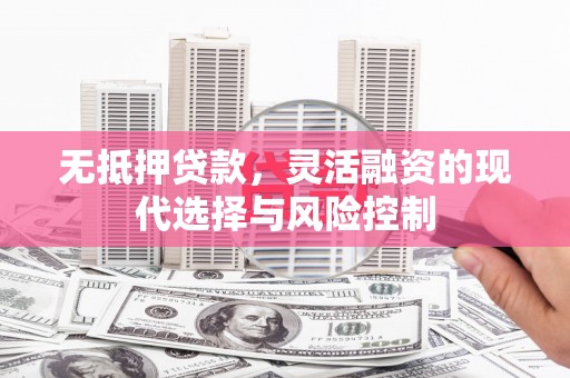 牧野无抵押贷款，灵活融资的现代选择与风险控制