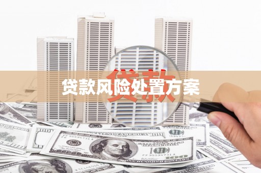 牧野贷款风险处置方案
