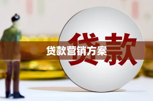 牧野贷款营销方案