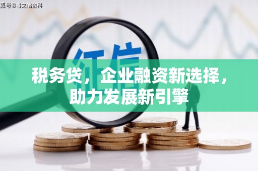 牧野税务贷，企业融资新选择，助力发展新引擎