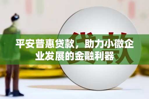 牧野平安普惠贷款，助力小微企业发展的金融利器
