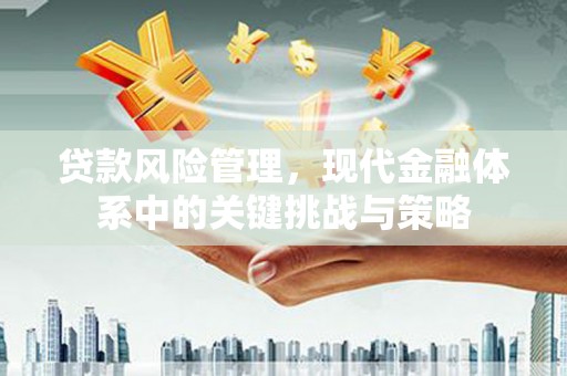 牧野贷款风险管理，现代金融体系中的关键挑战与策略