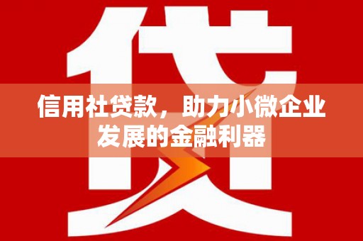 牧野信用社贷款，助力小微企业发展的金融利器