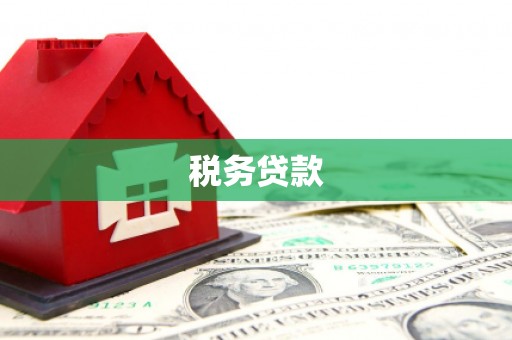 牧野税务贷款