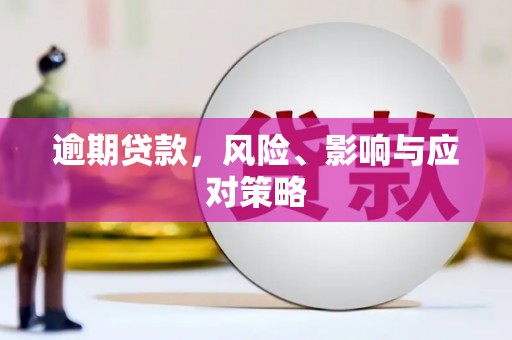 牧野逾期贷款，风险、影响与应对策略