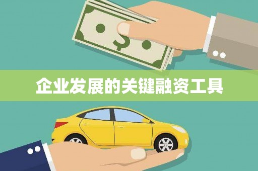 牧野企业发展的关键融资工具